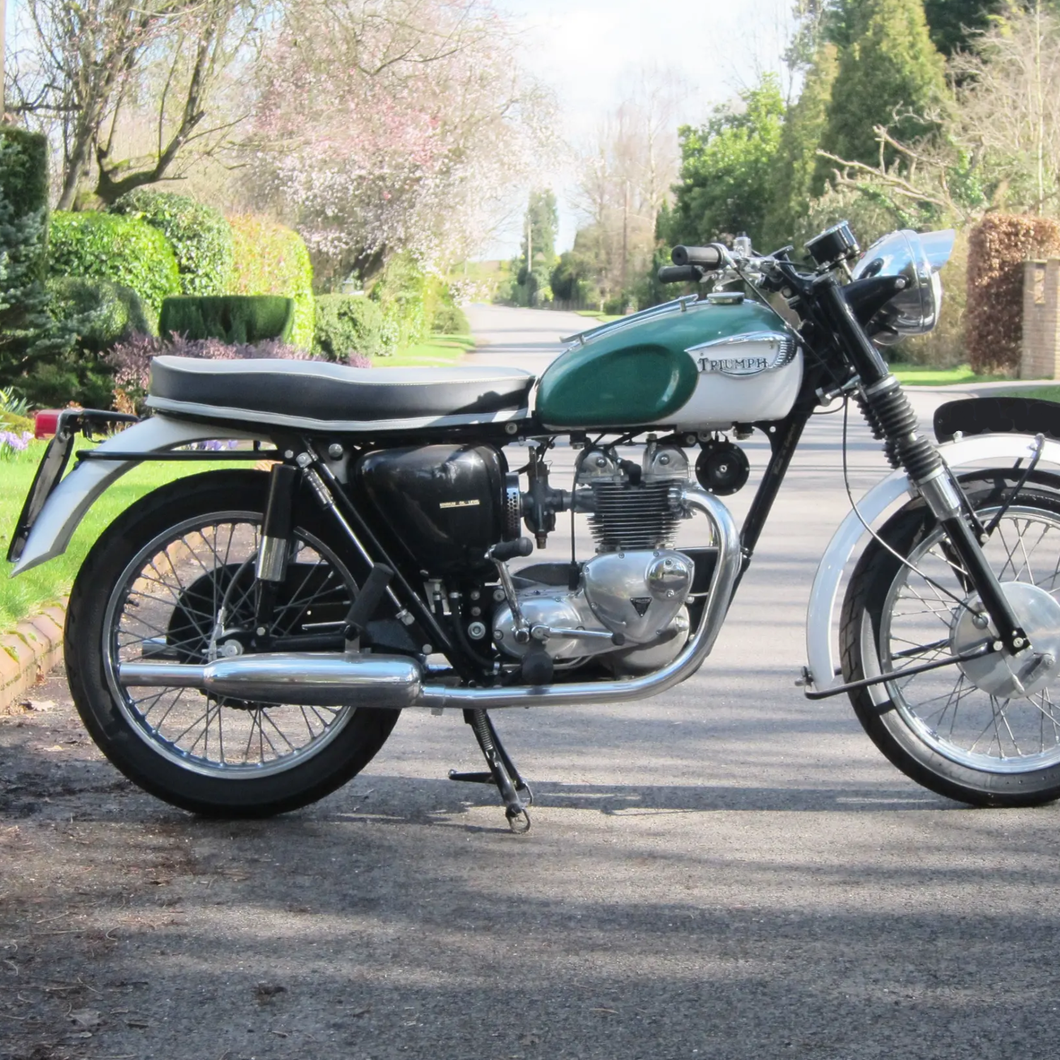 Triumph Sherbourne Green Paint Product